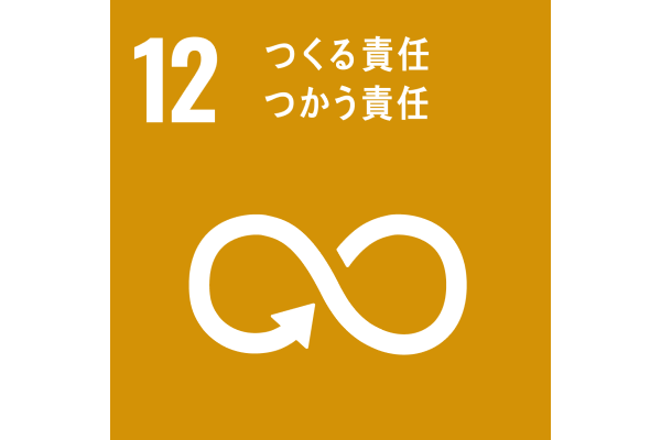 目標12アイコン