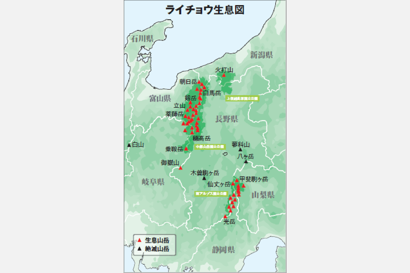art_00102_本文1