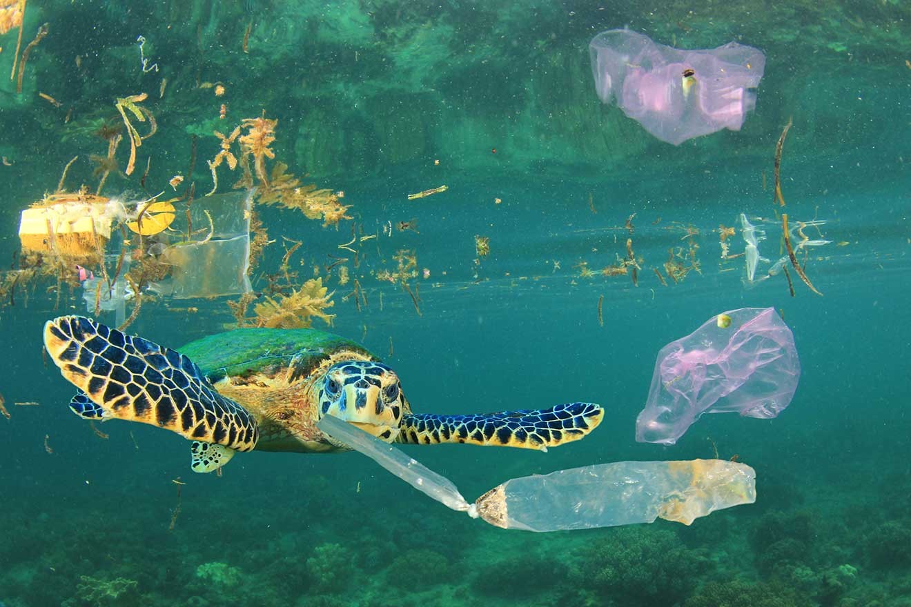 海に浮かぶプラスチックごみとウミガメ