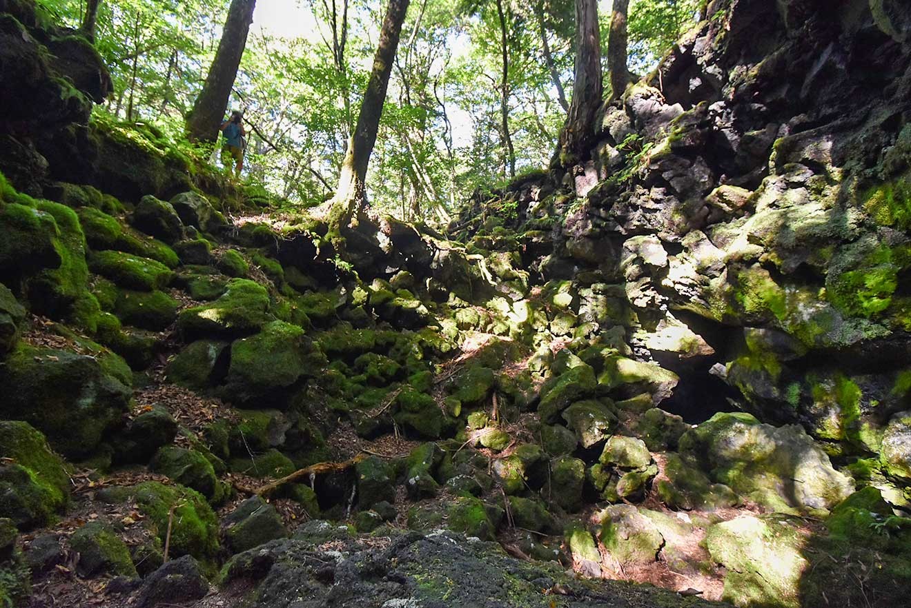 竜宮洞穴の中から、入り口を振り返った様子