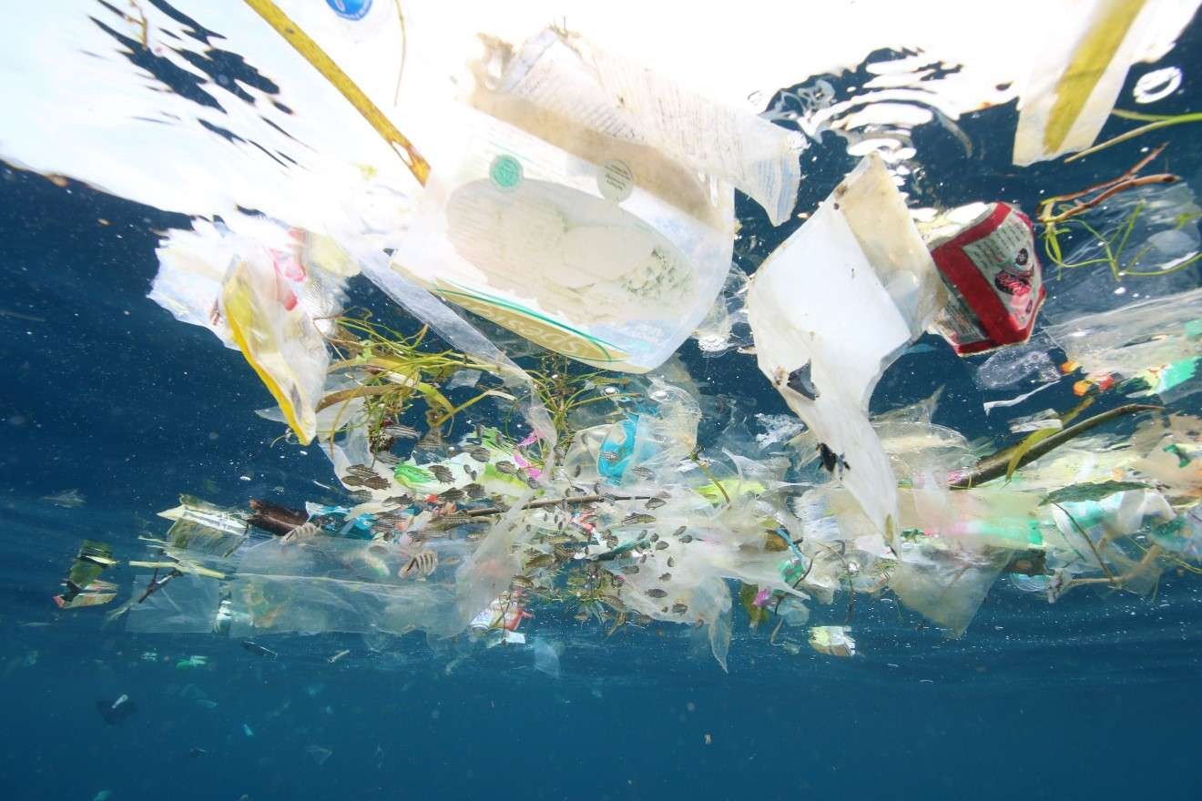 プラスチックから未来を考えてみよう【中高生のための朝日SDGsジャーナル】