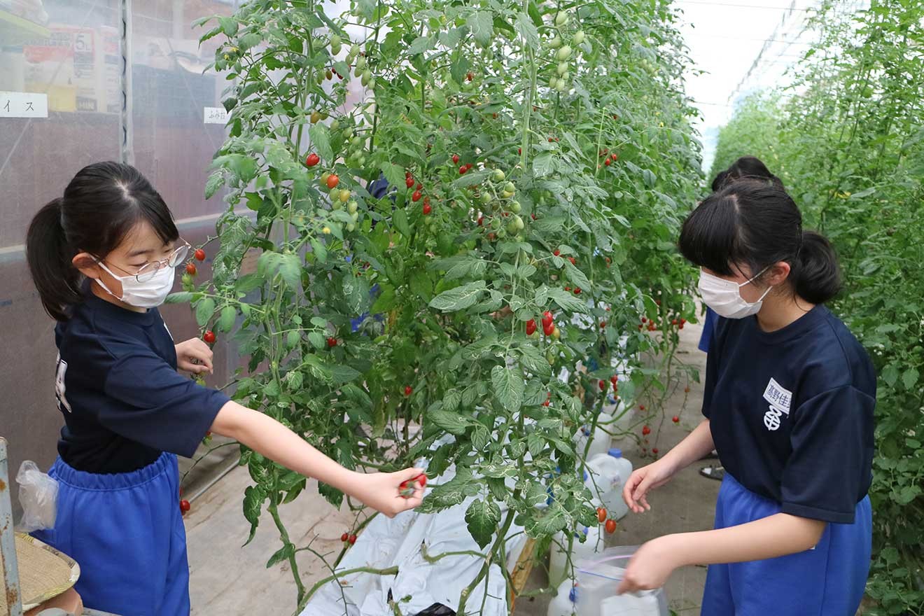 菅野俊幸さんの活動