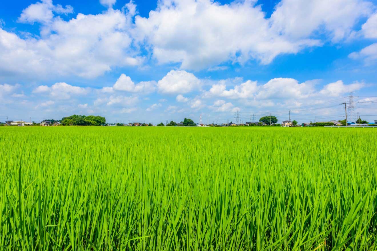 Sdgs未来都市 22年度は宮城県大崎市など30都市を選定 内閣府 Sdgs Action 朝日新聞デジタル