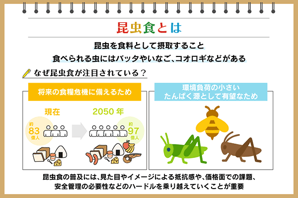 昆虫食とは？なぜ注目されている？種類やメリット、安全性や課題を解説：朝日新聞SDGs ACTION!