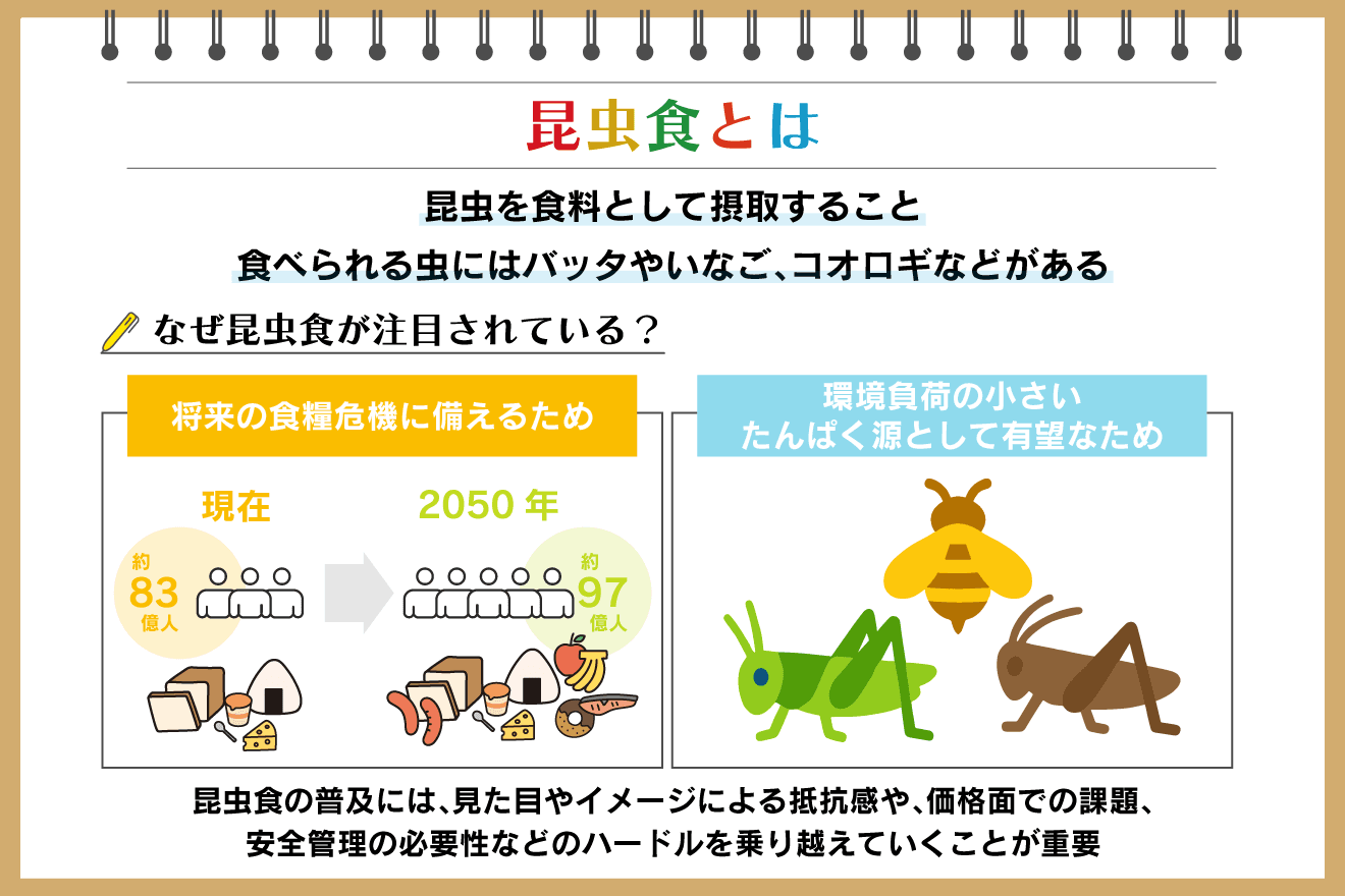 セミの幼虫を食べる文化の実態とは?味の評判からアレルギーと安全な調理法まで徹底解説