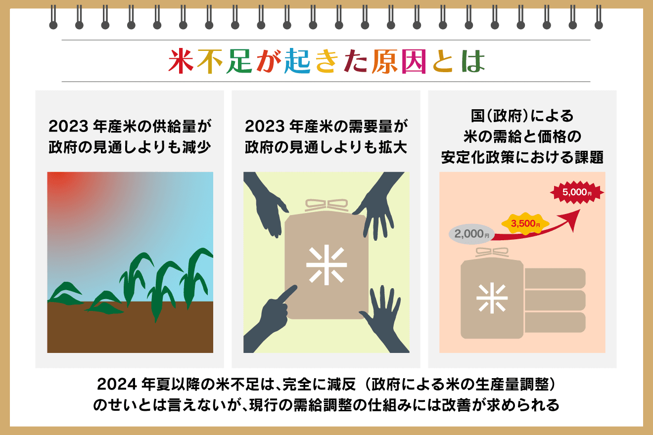2025年米不足はなぜ起きた？ 原因やいつまで続くかを大学教員が解説 