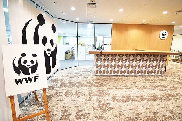 賃貸オフィスで「持続可能な森林管理」認証取得　オフィスを訪ねて【2】WWFジャパン
